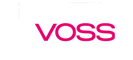 08_Voss_clean